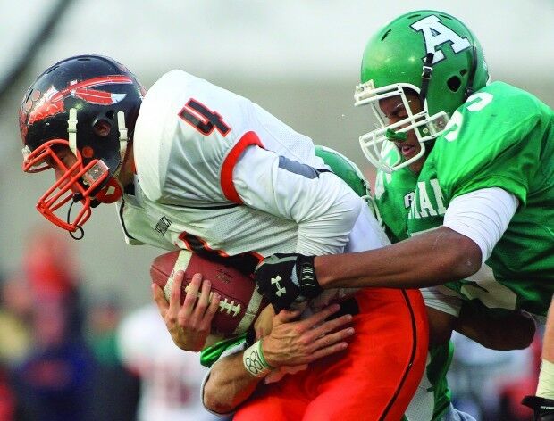 AllemanFB112010js